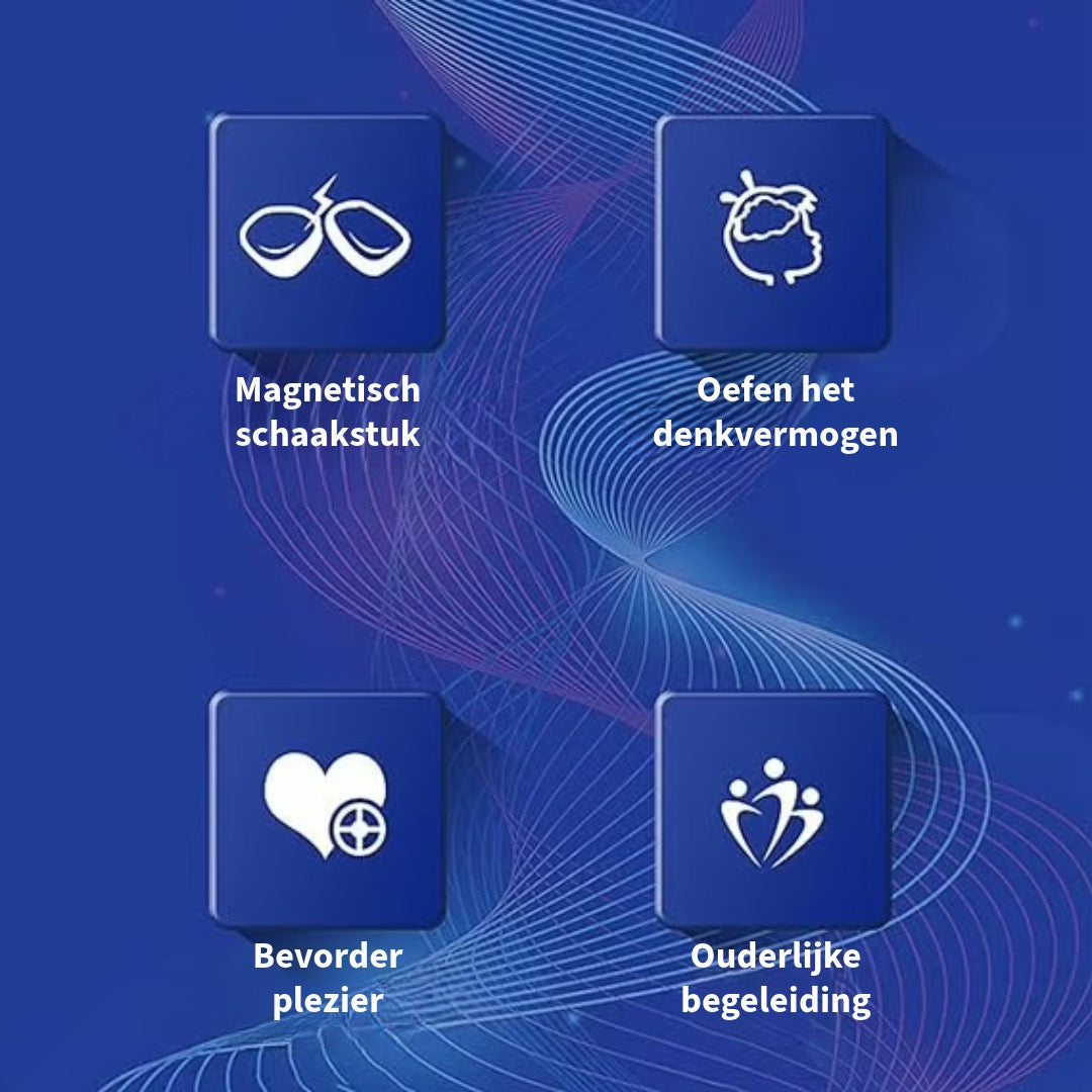Magnetisch Schaakspel