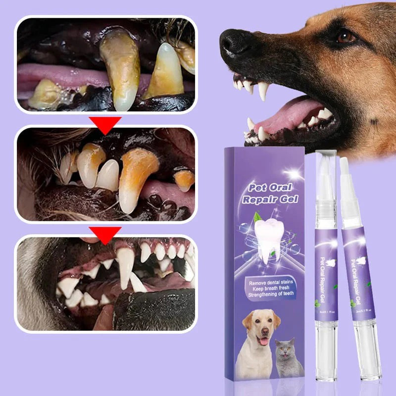 Tandherstelgel voor Katten & Honden