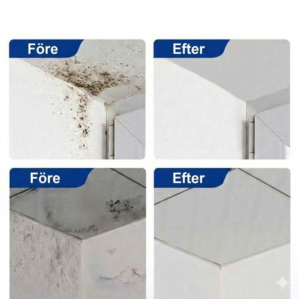 Skumrengöring mot mögel