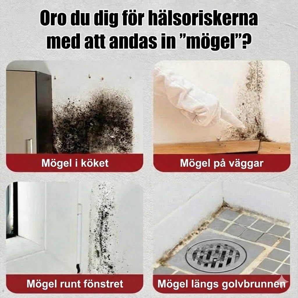 Skumrengöring mot mögel