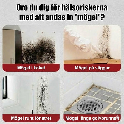 Skumrengöring mot mögel