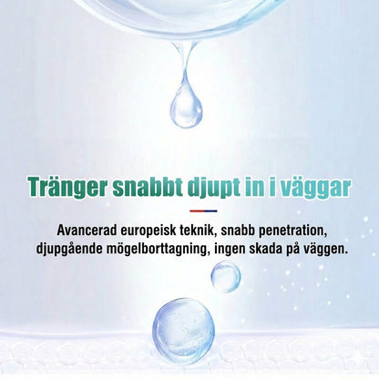 Skumrengöring mot mögel