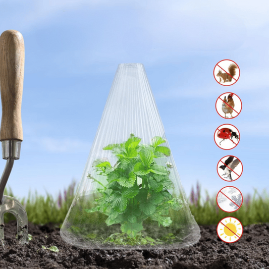Beschermhoezen voor planten